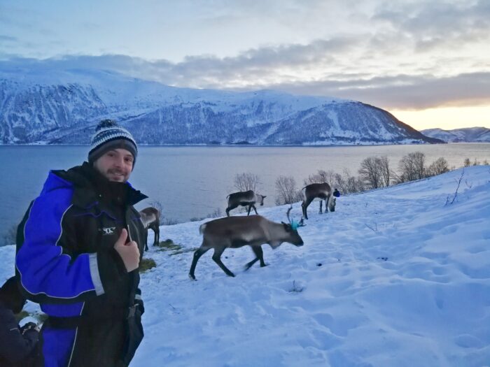 Ver renos. Mejores excusiones en Tromso