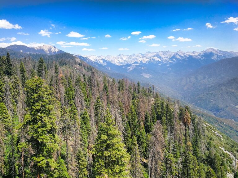 Parque Nacional de las Secuoyas, Estados Unidos