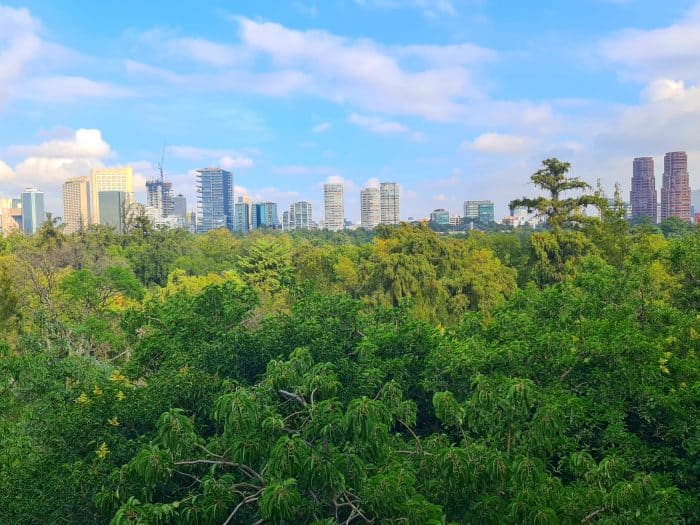 Bosque Chapultepec. Ciudad de México.
