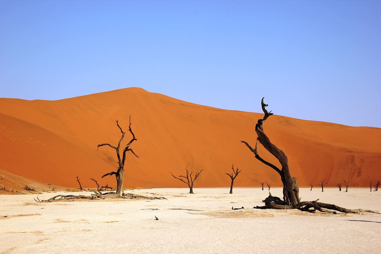 Desierto del Namib. Seguro viaje Namibia