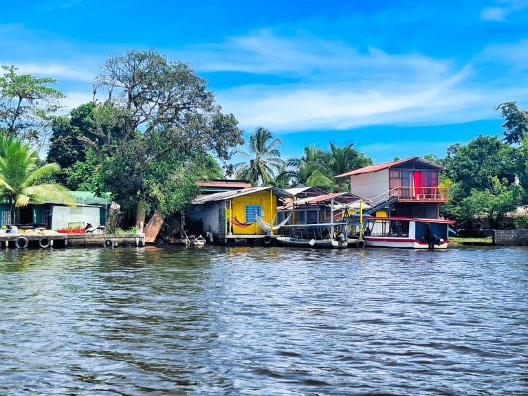 Qué ver y hacer en Tortuguero
