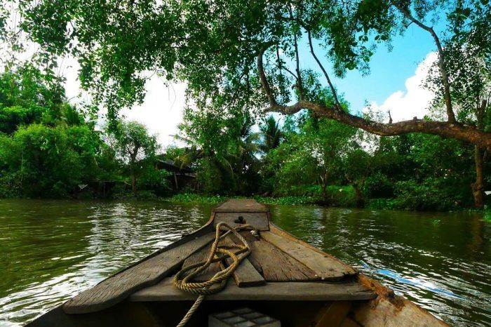 Manglar de Costa Rica. Manglar de Costa Rica.