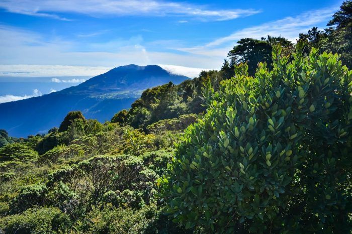 Volcán Irazú. Qué ver en los alrededores de San José. Volcán Irazú. Qué ver en los alrededores de San José.
