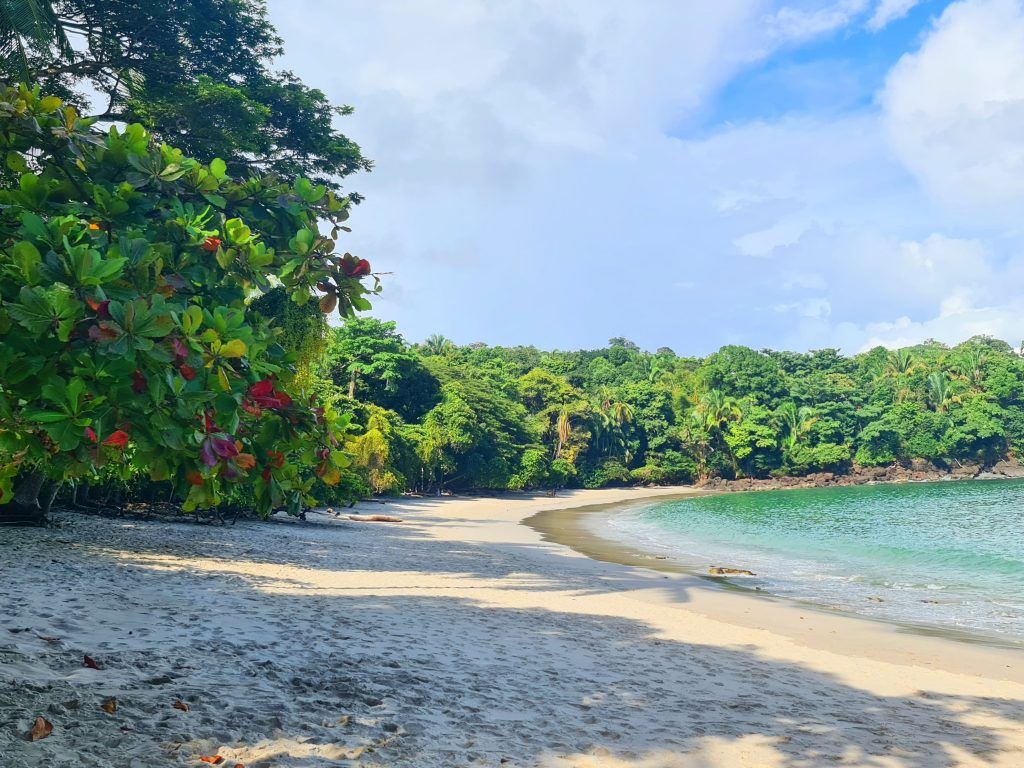 Parque Nacional Manuel Antonio. Qué ver en Manuel Antonio