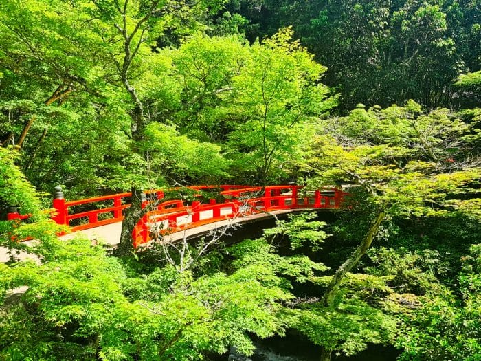 Puente Parque Momijidani, Miyajima Puente Parque Momijidani, Miyajima