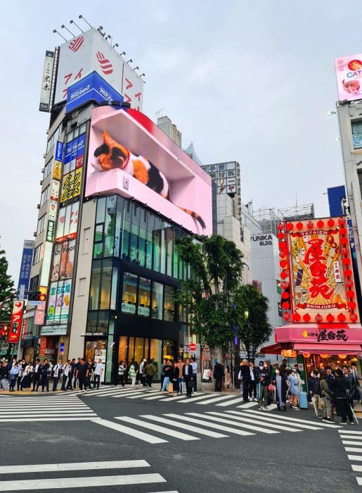 Shinjuku. Qué ver en Tokio Shinjuku. Qué ver en Tokio