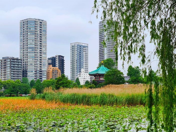 Parque Ueno. Qué ver en Tokio Parque Ueno. Qué ver en Tokio