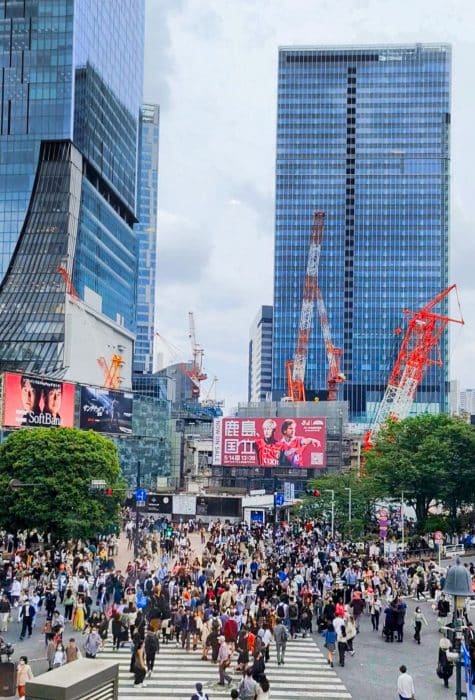 Shibuya, el área más comercial donde dormir en Tokio