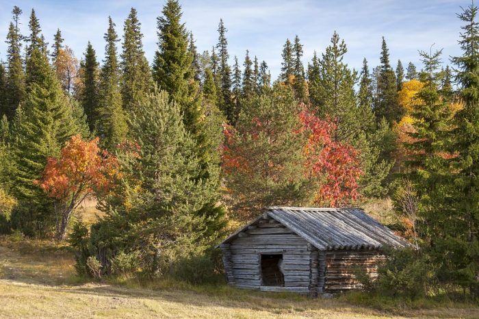 Laponia. Seguro de viaje a Finlandia Laponia. Seguro de viaje a Finlandia