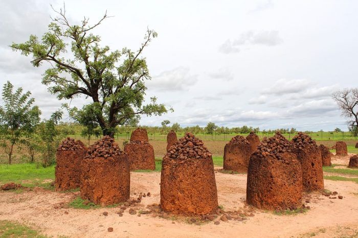 Stone Circles of Senegambia. Seguro de viaje a Gambia Stone Circles of Senegambia. Seguro de viaje a Gambia