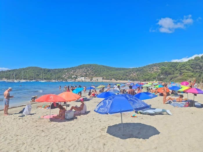 Playa de Las Salinas Ibiza Playa de Las Salinas Ibiza