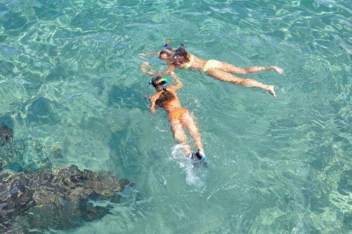Snorkel. Qué hacer en Cala Figuera. Snorkel. Qué hacer en Cala Figuera.