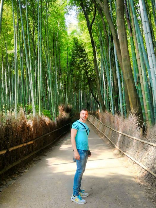 Bosque de bambú de Arashiyama. Qué visitar en Kioto