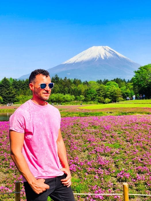 Festival de Fuji Shibazakura. El mejor lugar desde donde ver en Monte Fuji Festival de Fuji Shibazakura. El mejor lugar desde donde ver en Monte Fuji