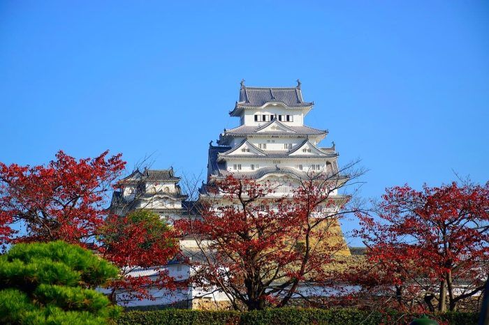 Castillo de Himeji. Que visitar cerca de Osaka. Castillo de Himeji. Que visitar cerca de Osaka.