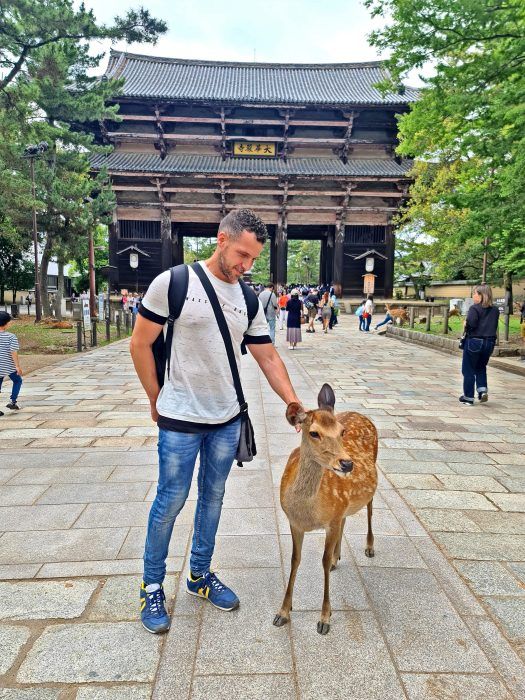 Nara. Qué ver cerca de Osaka Nara. Qué ver cerca de Osaka