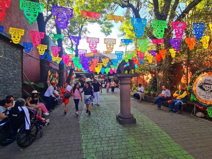 Coyoacán. Dónde alojarse en Ciudad de México