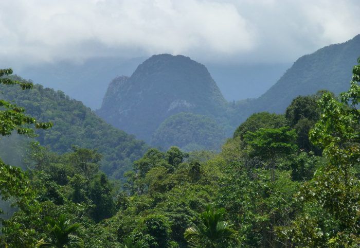 Parque Nacional Mulu. Que ver en Malasia. Parque Nacional Mulu. Que ver en Malasia.