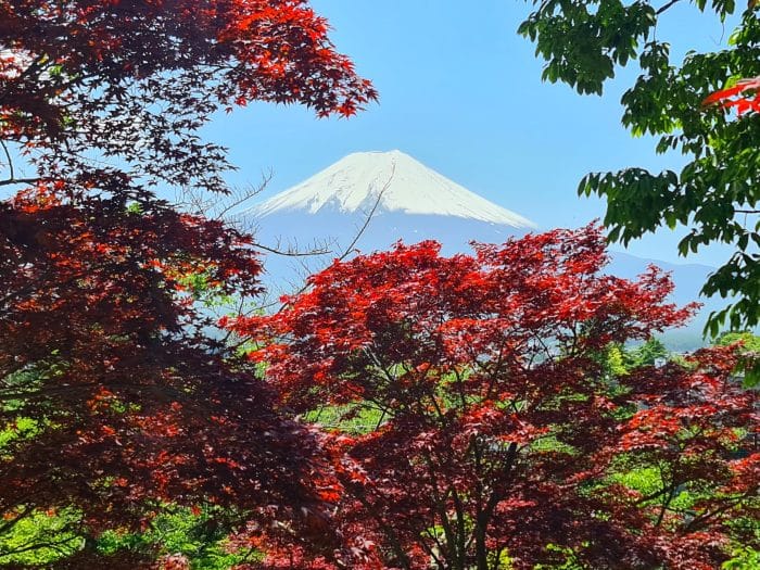 Mejor época para visitar a la pagoda Chureito y ver el Monte Fuji