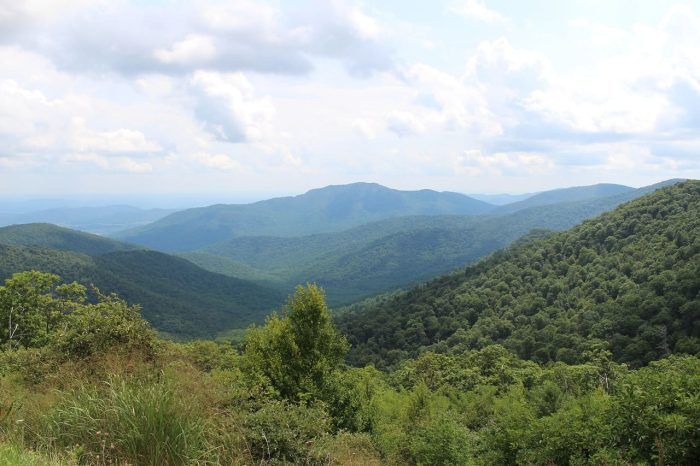 Parque Nacional Shenandoah. Excursiones cerca de Washington Parque Nacional Shenandoah. Excursiones cerca de Washington