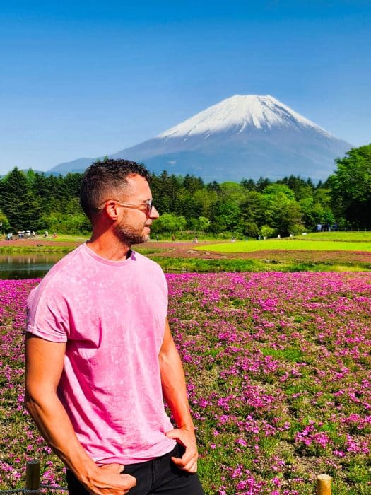 Festival Fuji Shibazakura. Festival de las flores del Monte Fuji