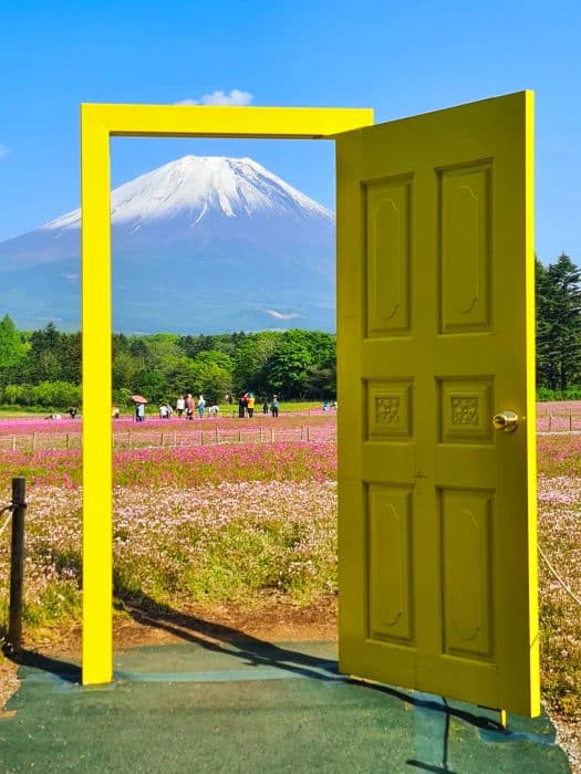 Festival Flores Monte Fuji