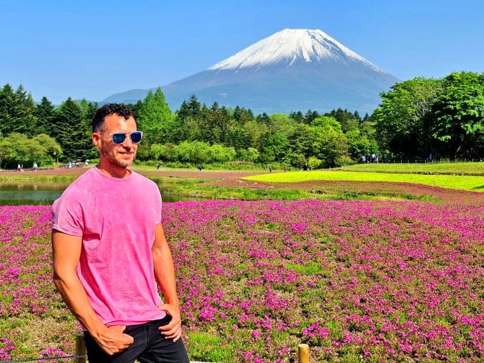 Monte Fuji. Festival Fuji Shibazakura