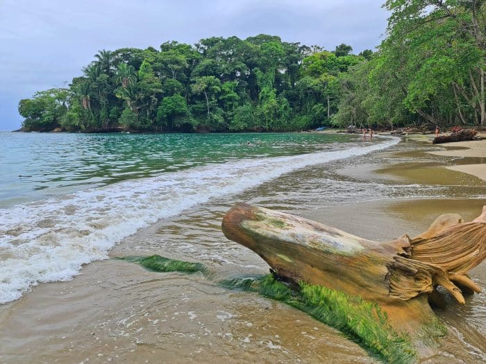 Punta Uva. Mejores playas del Caribe en Costa Rica