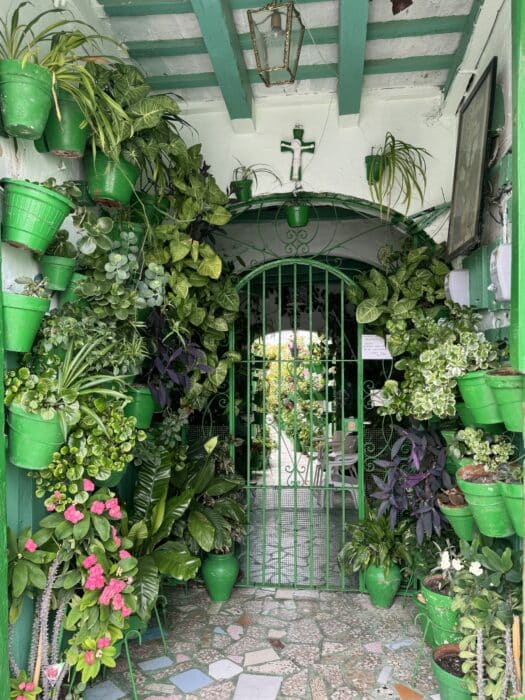 Patio Verde. Qué ver en Rota