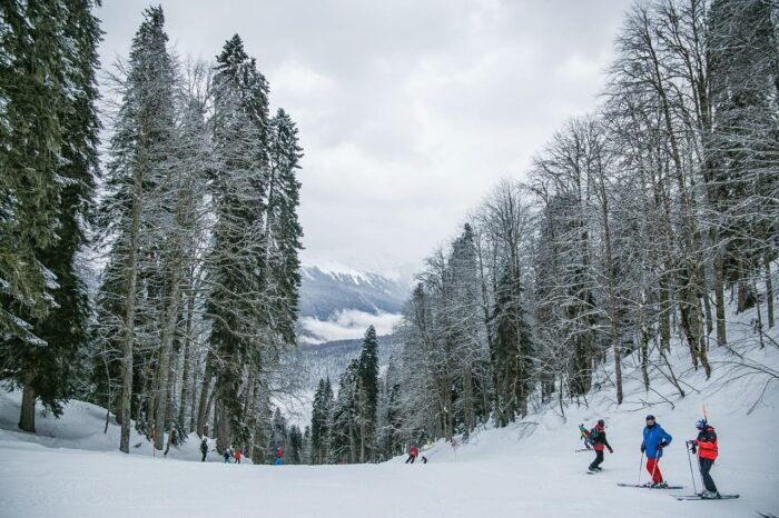 Deportes de invierno en Familia Deportes de invierno en Familia