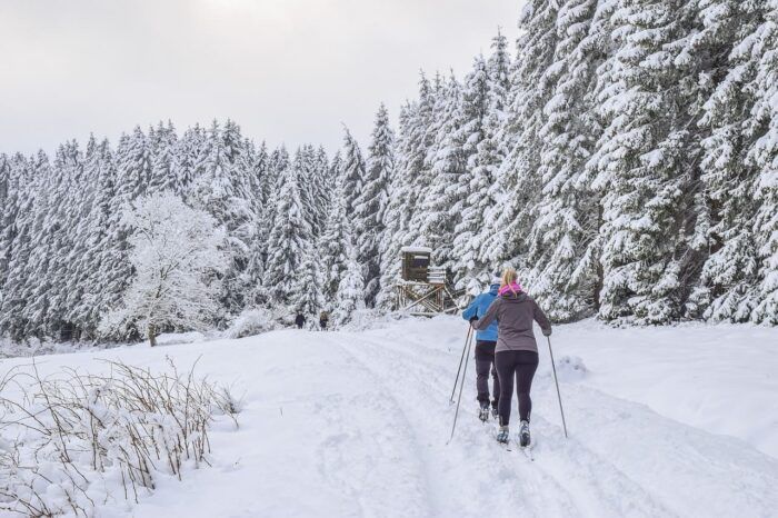 Destinos a los que viajar en invierno con la familia Destinos a los que viajar en invierno con la familia