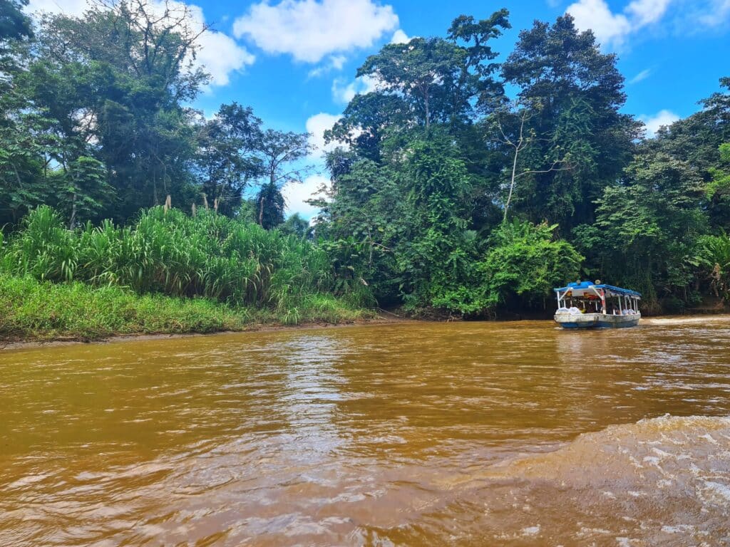 Parque. Dónde alojarse en Tortuguero