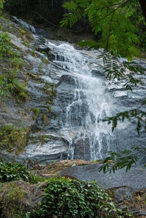 Tijuca. Excursiones en Río de Janeiro