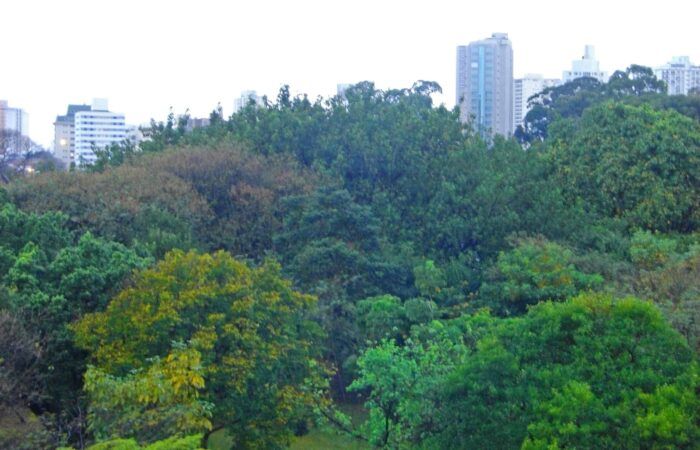 Parque Ibirapeura. Dónde alojarse en Sao Paulo