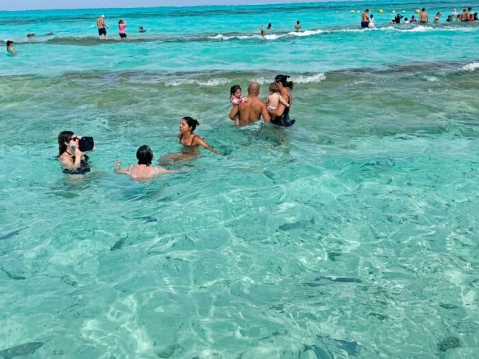 Acuario. Que ver en San Andrés