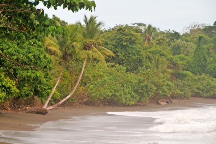 Parque Nacional Corcovado. Mejores parques naturales de Costa Rica
