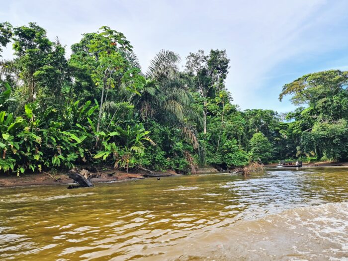 Parque Nacional Tortuguero. Mejores parques naturales de Costa Rica