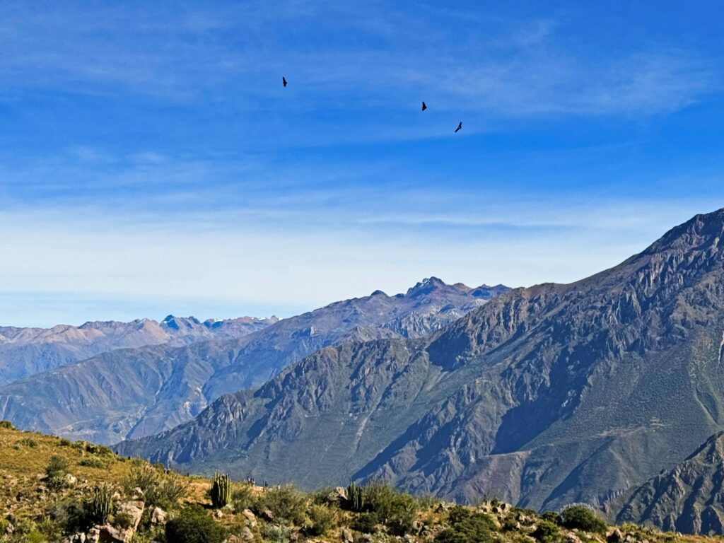 Qué ver en el Valle del Colca