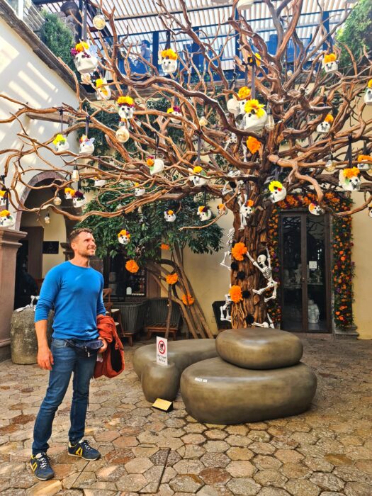 San Miguel de Allende. Qué ver en México el Día de Muertos