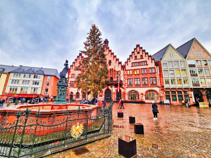 Frankfurt. Ruta Romántica y Valle del Mosela