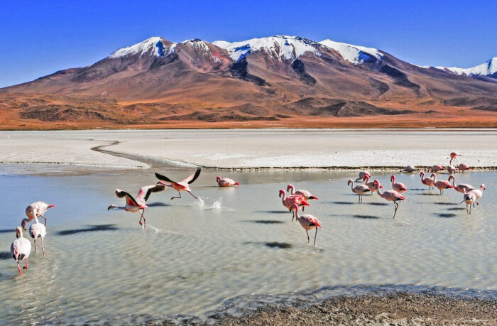7 Lagunas de Ausangate. Mejores excursiones en Cusco