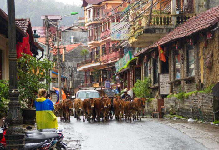 Sapa Town. Dónde alojarse en Sapa