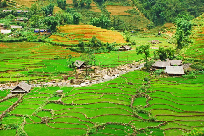 Lao Chai. Dónde dormir en Sapa