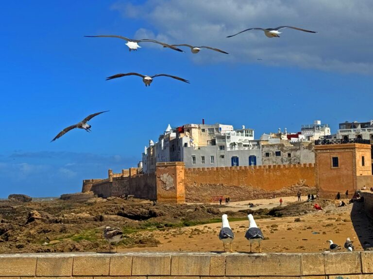 Qué ver en Essaouira: 12 Lugares imprescindibles