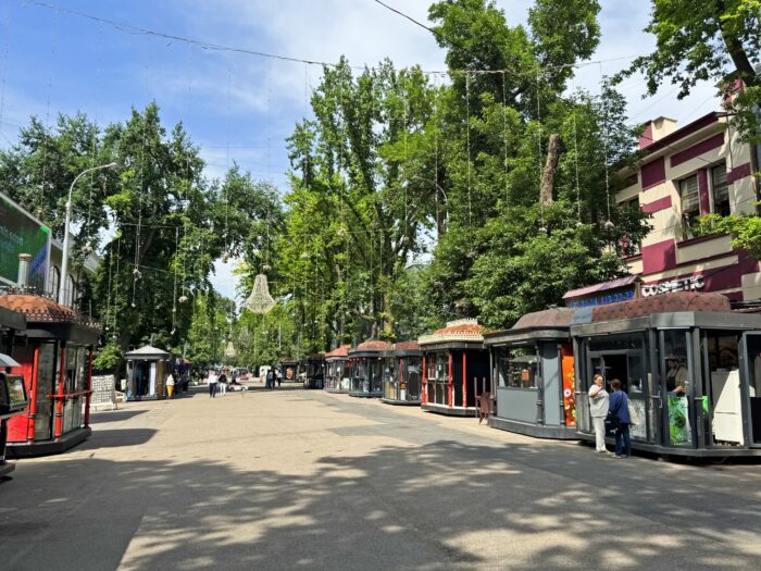 Calle Sayilgoh. Qué ver en Tashkent